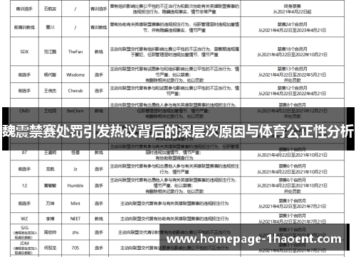 魏震禁赛处罚引发热议背后的深层次原因与体育公正性分析