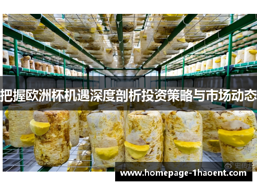 把握欧洲杯机遇深度剖析投资策略与市场动态 把握欧洲杯机遇深度剖析投资策略与市场动态